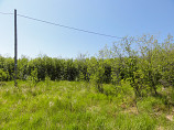 Продам земельный участок под Ижс на Дукчинском шоссе ( Горняк) 1500 м. Хорошее место, прекрасный вид Магадан