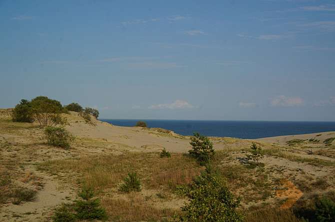 Продам землю у Куршского залива Калининград - изображение 1