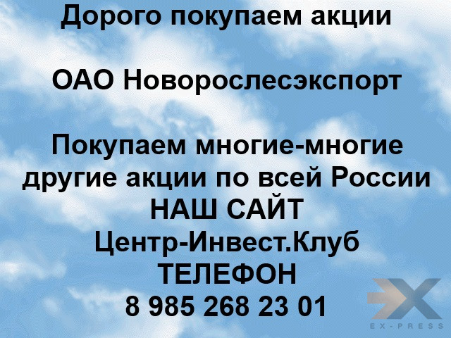 Покупка акций Оао Новорослесэкспорт Новороссийск - изображение 1