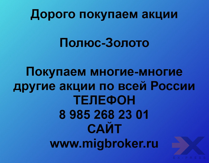 Покупаем акции Полюс Золото Норильск - изображение 1