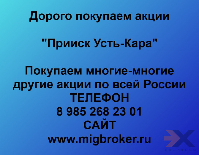 Продать акции «прииск Усть-кара» по выгодной цене. Чита - изображение 1